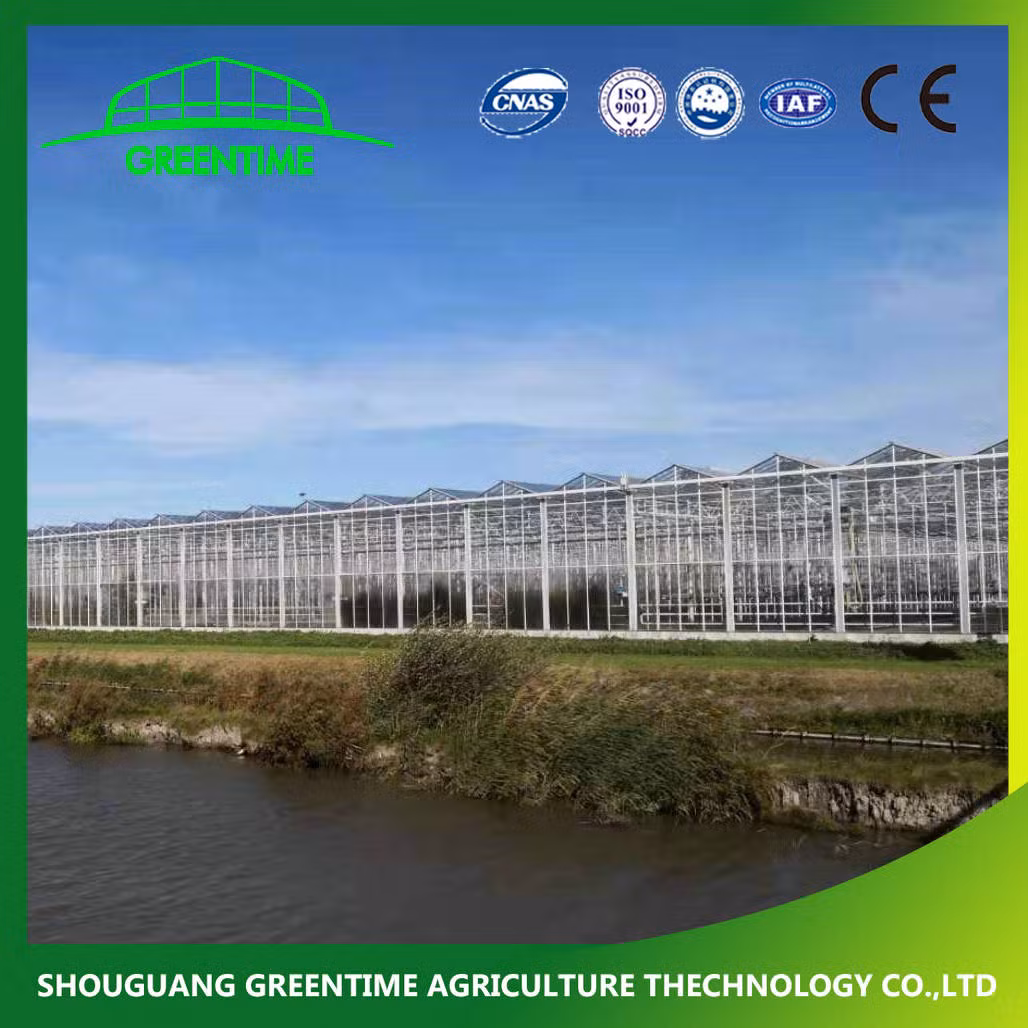 Cheap/Agriculture/Farm/Polycarbonate/Glass/Multi-Span Greenhouse with Irrigation Hydroponic System f