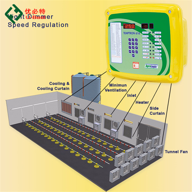 Automatic New Design Whole Poultry Farm with Automatic Feeder and Drinker for Broiler - Feeder and D