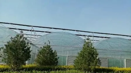 Po Film Greenhouse for Vegetable Made in China - 2026 Green House, Multi Span Greenhouse price | Mad
