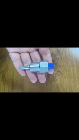 Most Popular Drinker Nipple for Pig Farm in Stainless Steel Material - Nipple and Stainless Steel Ni
