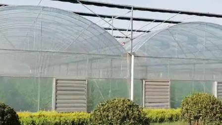 Film Greenhouse for Vegetable Made in China - 2026 Green House, Multi Span Greenhouse price | Made-i